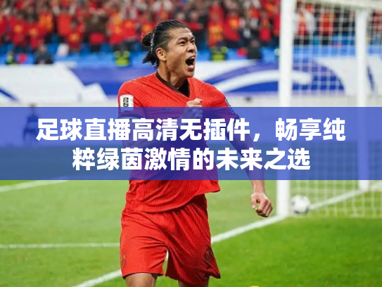 足球直播高清无插件，畅享纯粹绿茵激情的未来之选