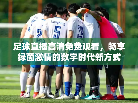 足球直播高清免费观看，畅享绿茵激情的数字时代新方式