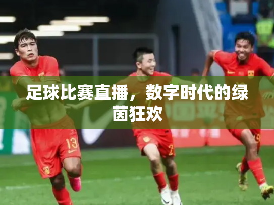 足球比赛直播，数字时代的绿茵狂欢