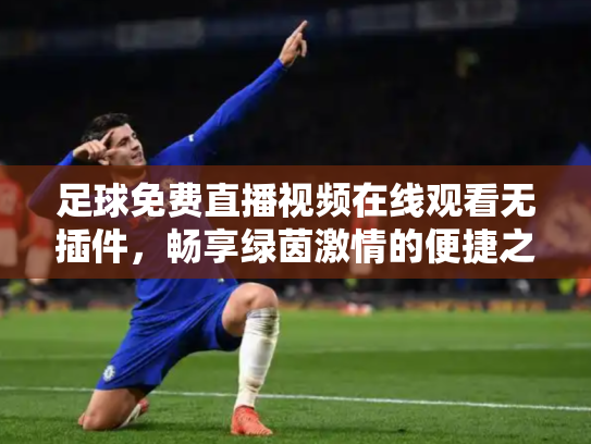 足球免费直播视频在线观看无插件，畅享绿茵激情的便捷之道