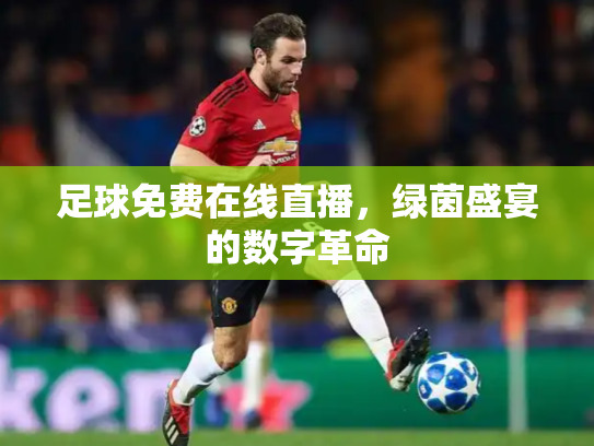 足球免费在线直播，绿茵盛宴的数字革命