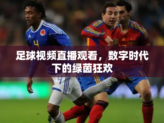 足球视频直播观看，数字时代下的绿茵狂欢