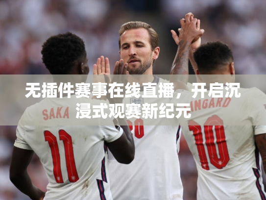 无插件赛事在线直播，开启沉浸式观赛新纪元