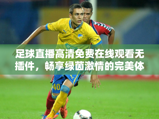 足球直播高清免费在线观看无插件，畅享绿茵激情的完美体验