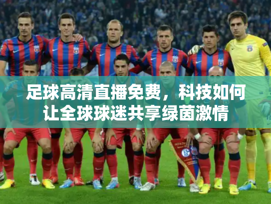 足球高清直播免费，科技如何让全球球迷共享绿茵激情