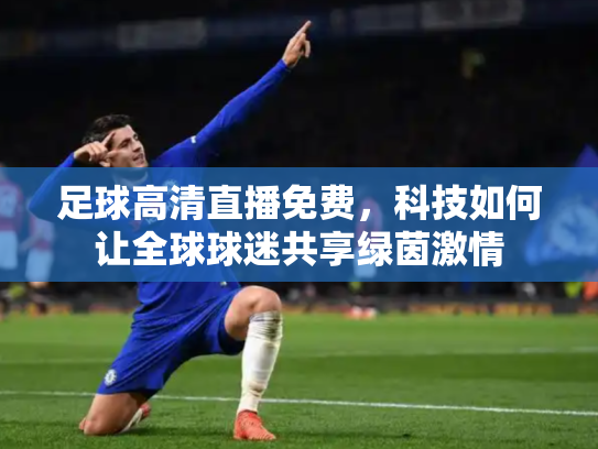 足球高清直播免费，科技如何让全球球迷共享绿茵激情