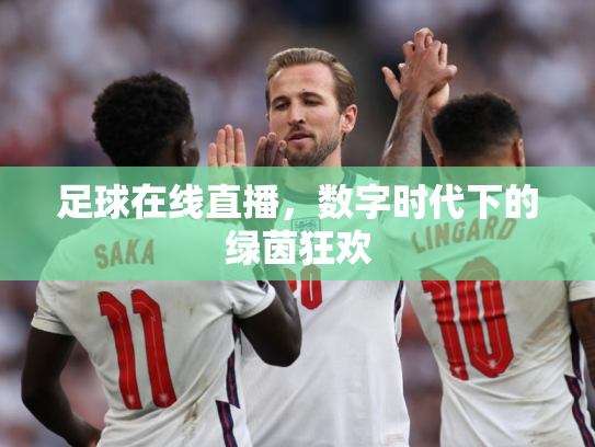 足球在线直播，数字时代下的绿茵狂欢