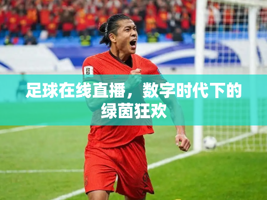 足球在线直播，数字时代下的绿茵狂欢