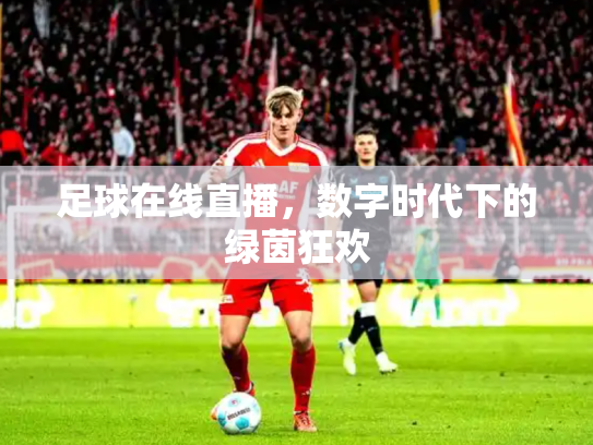 足球在线直播，数字时代下的绿茵狂欢