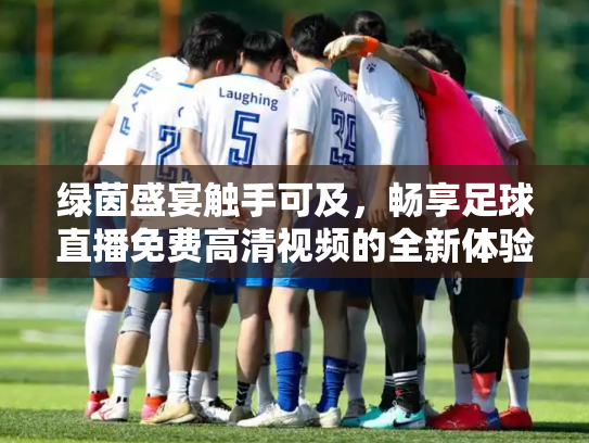 绿茵盛宴触手可及，畅享足球直播免费高清视频的全新体验