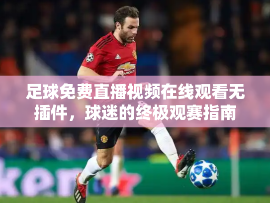 足球免费直播视频在线观看无插件，球迷的终极观赛指南