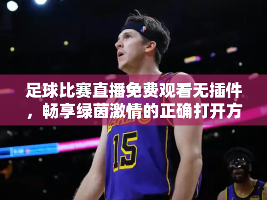 足球比赛直播免费观看无插件，畅享绿茵激情的正确打开方式