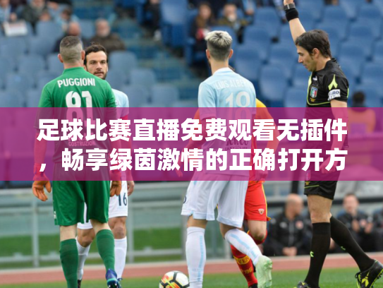 足球比赛直播免费观看无插件，畅享绿茵激情的正确打开方式