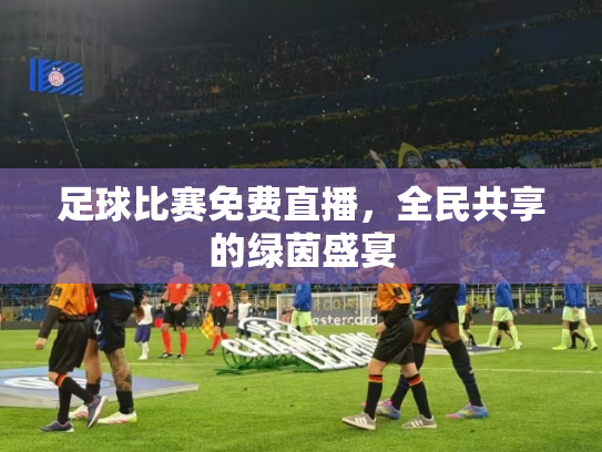 足球比赛免费直播，全民共享的绿茵盛宴