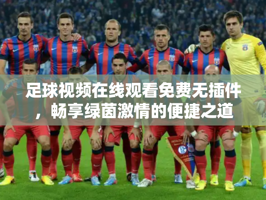 足球视频在线观看免费无插件，畅享绿茵激情的便捷之道