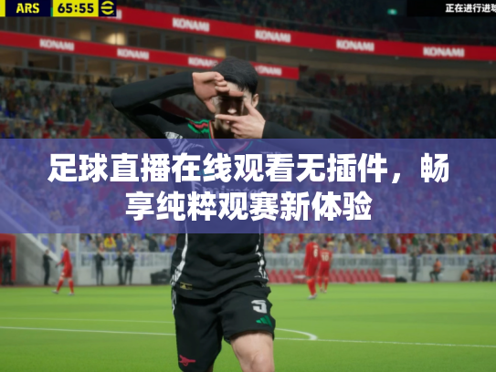 足球直播在线观看无插件，畅享纯粹观赛新体验