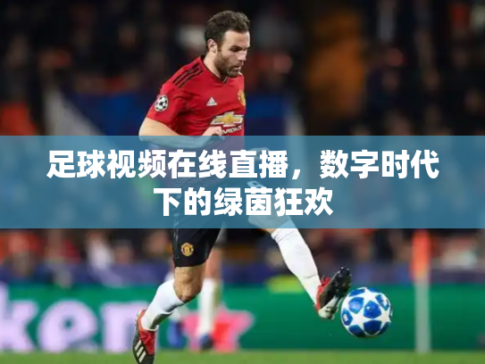 足球视频在线直播，数字时代下的绿茵狂欢