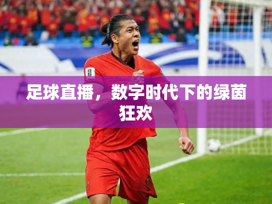 足球直播，数字时代下的绿茵狂欢