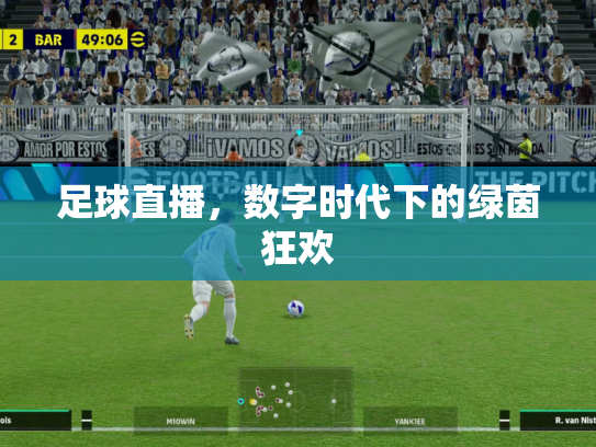 足球直播，数字时代下的绿茵狂欢