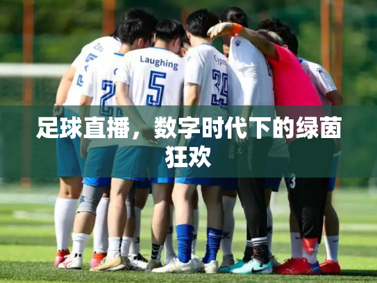足球直播，数字时代下的绿茵狂欢