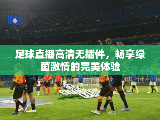 足球直播高清无插件，畅享绿茵激情的完美体验