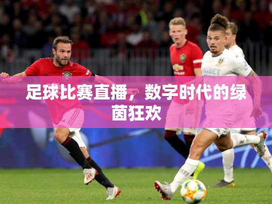 足球比赛直播，数字时代的绿茵狂欢