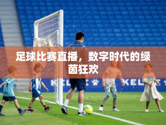 足球比赛直播，数字时代的绿茵狂欢