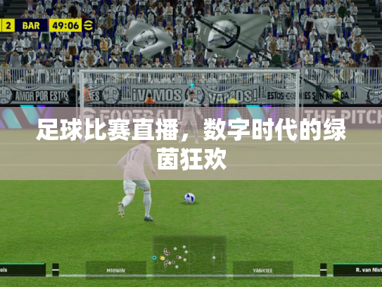 足球比赛直播，数字时代的绿茵狂欢