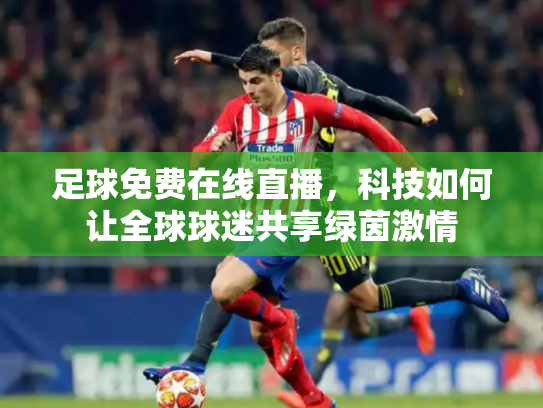 足球免费在线直播，科技如何让全球球迷共享绿茵激情