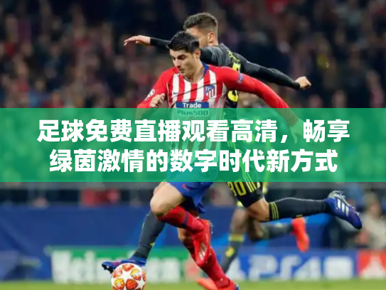 足球免费直播观看高清，畅享绿茵激情的数字时代新方式