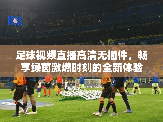 足球视频直播高清无插件，畅享绿茵激燃时刻的全新体验