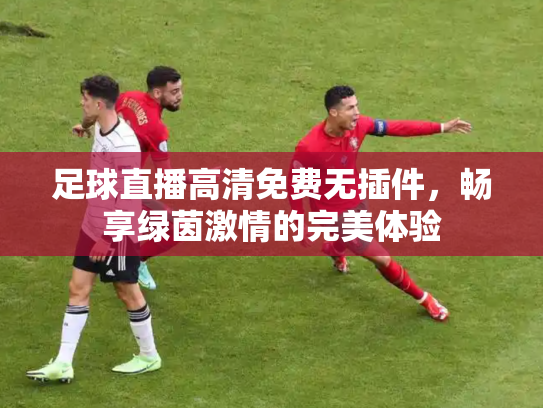 足球直播高清免费无插件，畅享绿茵激情的完美体验