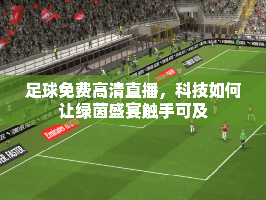 足球免费高清直播，科技如何让绿茵盛宴触手可及