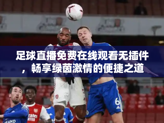 足球直播免费在线观看无插件，畅享绿茵激情的便捷之道