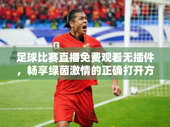 足球比赛直播免费观看无插件，畅享绿茵激情的正确打开方式
