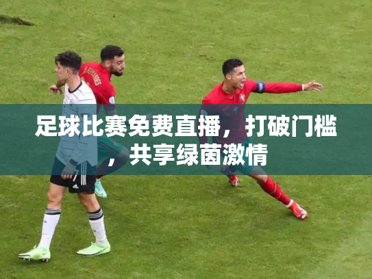 足球比赛免费直播，打破门槛，共享绿茵激情