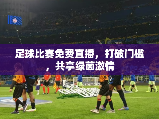 足球比赛免费直播，打破门槛，共享绿茵激情