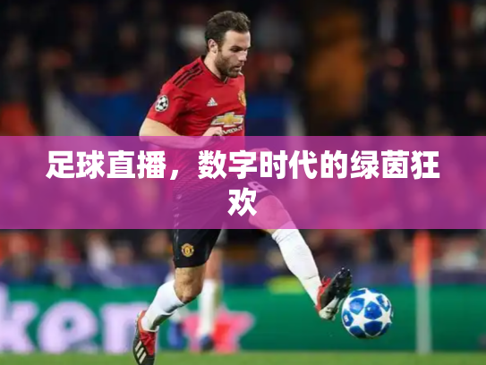 足球直播，数字时代的绿茵狂欢