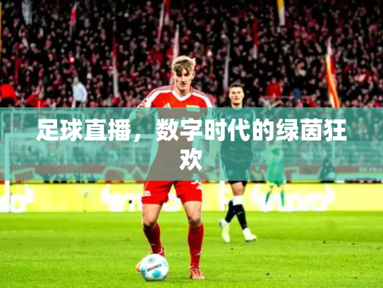 足球直播，数字时代的绿茵狂欢