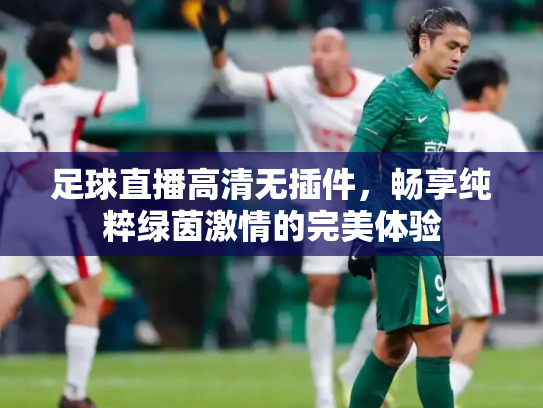 足球直播高清无插件，畅享纯粹绿茵激情的完美体验