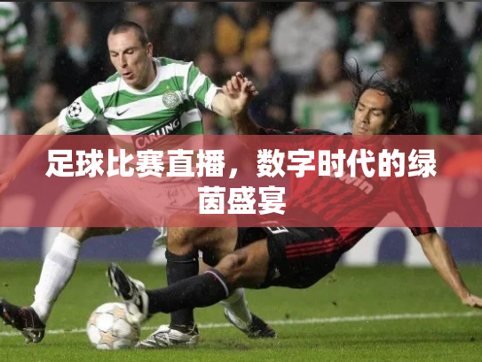 足球比赛直播，数字时代的绿茵盛宴