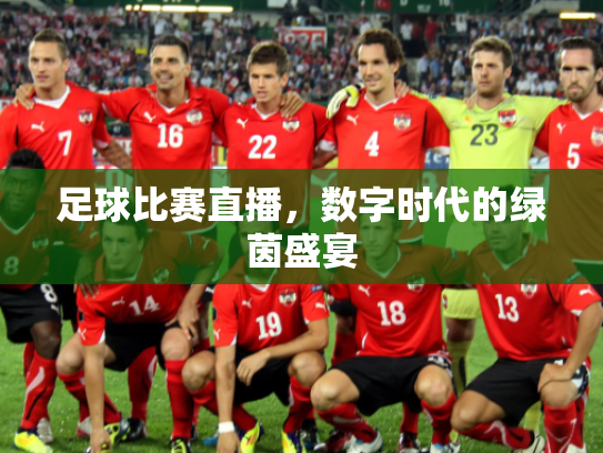 足球比赛直播，数字时代的绿茵盛宴