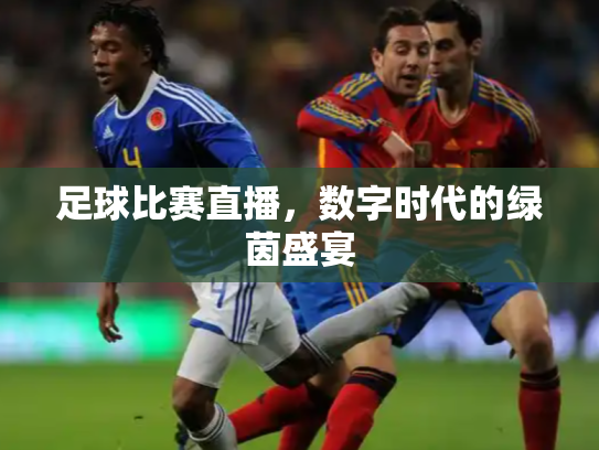 足球比赛直播，数字时代的绿茵盛宴