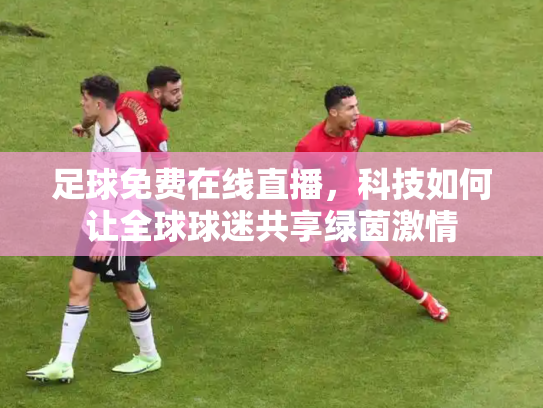 足球免费在线直播，科技如何让全球球迷共享绿茵激情