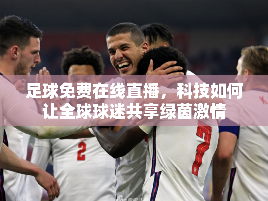 足球免费在线直播，科技如何让全球球迷共享绿茵激情