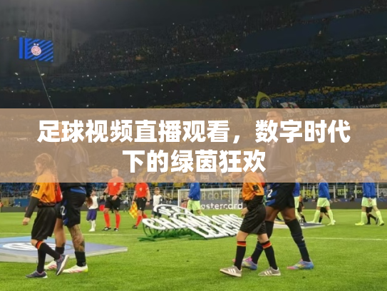 足球视频直播观看，数字时代下的绿茵狂欢