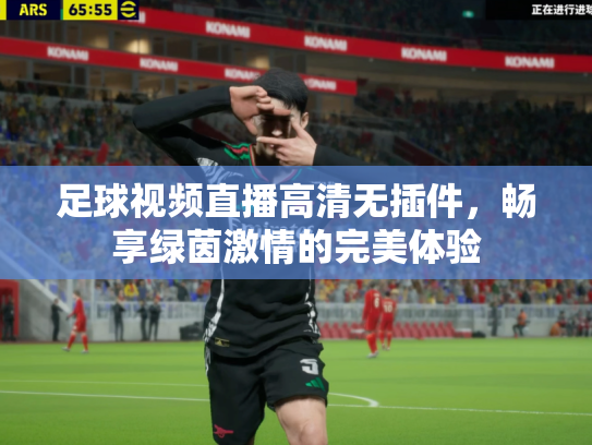 足球视频直播高清无插件，畅享绿茵激情的完美体验