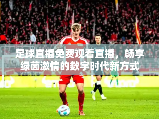 足球直播免费观看直播，畅享绿茵激情的数字时代新方式