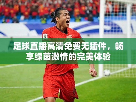 足球直播高清免费无插件，畅享绿茵激情的完美体验