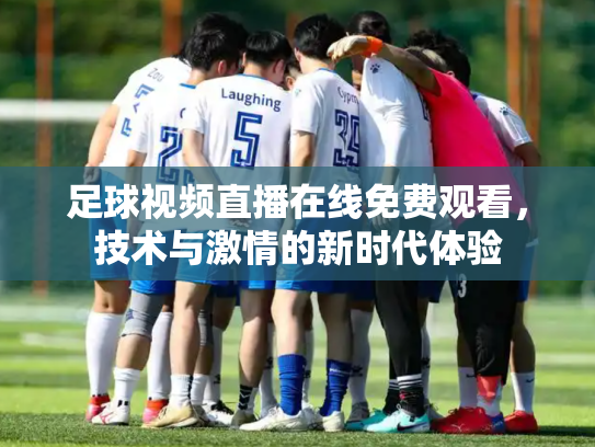 足球视频直播在线免费观看，技术与激情的新时代体验